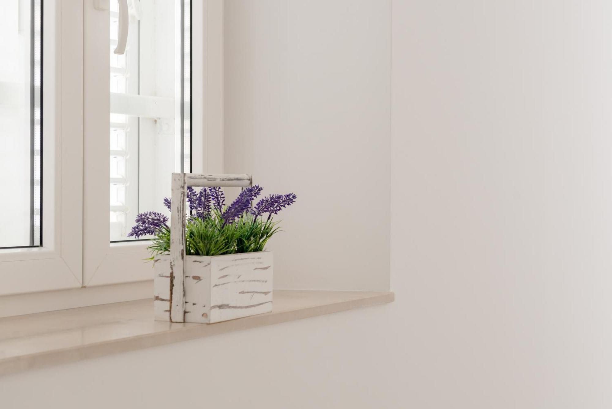 Apartments Villa Tudor 1 Хвар Екстериор снимка
